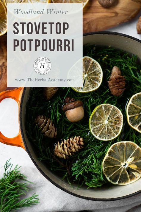 Winter Potpourri, Potpourri Recipe, Simmer Pots, Homemade Potpourri, Vintage Pantry, Simmer Pot Recipes, Stove Top Potpourri, Herbal Academy, Simmering Potpourri