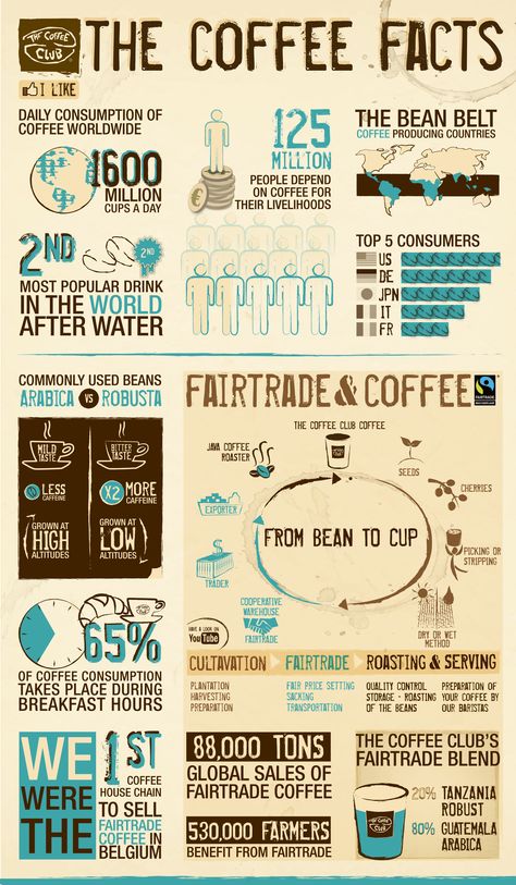 via cafealtura.com - Interesting #coffee #facts about fair trade, varieties, and consumption habits. Coffee Facts Infographic, Coffee Infographic, Coffee Facts, Food Infographic, Fair Trade Coffee, Endocannabinoid System, Coffee Barista, Coffee Health Benefits, Coffee Benefits