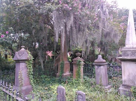 Graveyard, Charleston, South Carolina! Coquette Graveyard, Caduceus Clay Aesthetic, Caduceus Clay, Old Cemetery, White Goth, Mighty Nein, Old Cemeteries, Southern Gothic, Charleston South Carolina