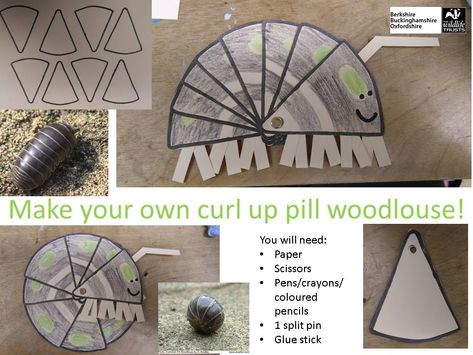 Real pill woodlice curl up tight in a ball when they're scared - and your's can too! Draw and cut out a triangle, draw round it and cut 7 more identical. Colour in. Carefully join all your triangles at the point a with split pin - you might want an adult to help. Add a face and cut antennae and legs from scrap paper to glue on. Ta-da! Can you find a live woodlouse in your garden? Try looking carefully under stones or flowerpots, sometimes woodlice even walk about the floor in your house! Roly Poly Craft, Woodlice, Preschool Garden, Pill Bug, Animal Lessons, Free Time Activities, Stem Crafts, Bug Crafts, Nature School