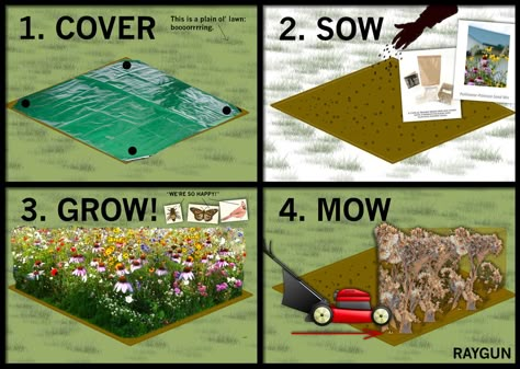 Corner Wildflower Garden, How To Make A Wildflower Meadow, Wildflower Garden Along Fence, Wildflower Hill Landscaping, Wild Flower Patch In Yard, Wildflower Meadow Front Yard, How To Make A Wildflower Garden, Wildflower Patch In Garden, Wildflower Mailbox Garden