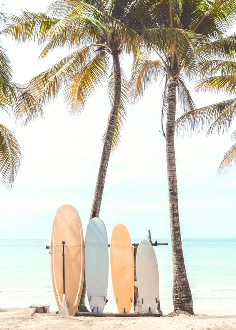 Surf Boards Aesthetic, Small Outdoor Garden Ideas, Pastel Beach Aesthetic, Small Outdoor Garden, Bulb Ideas, Outdoor Garden Ideas, Deco Marine, Beachy Aesthetic, Cute Summer Wallpapers