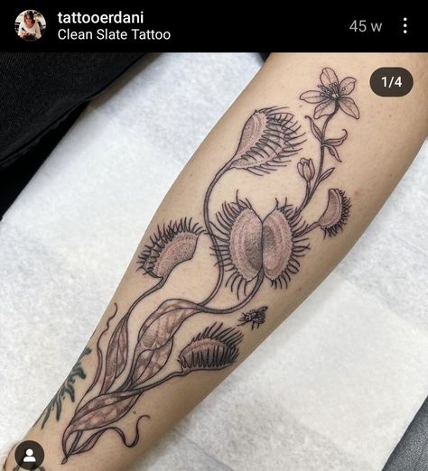 Venus Fly Trap Tattoo Design, Venus Fly Trap Tattoo Black And White, Plant Forearm Tattoo, Dark Botanical Tattoo, Venus Flytrap Tattoo, Fly Trap Tattoo, Venus Fly Trap Tattoo, Botanical Sleeve, Trap Tattoo