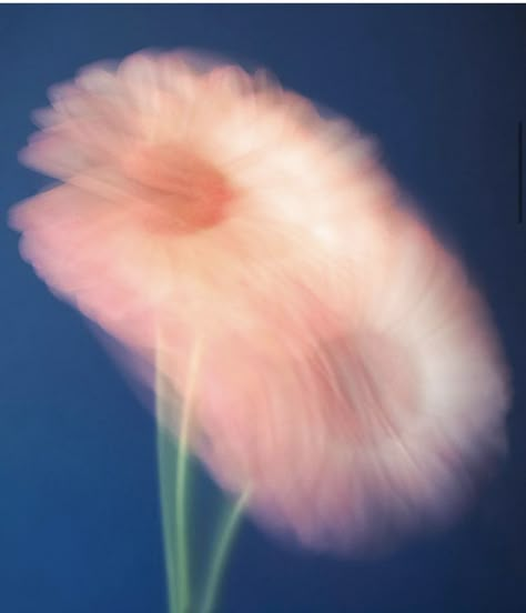 Pastel Photography Aesthetic, Shanna Van Maurik Art, Blurred Photos Aesthetic, Blurry Flowers, Blurred Flowers, Floral Graphics, Aura Colors, Mia 3, Arte Inspo