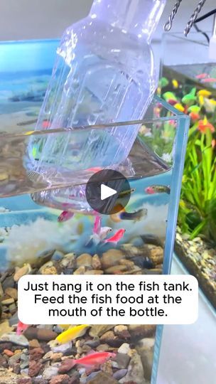 6.5K views · 69 reactions | Make a fish feeder out of plastic bottles #gardeninggoals #gardeningistherapy #gardeningtips #gardeninglife #gardening_love #gardeninguk #gardening101 #gardeningtools #gardeningislife #gardeningtherapy #gardeningknowhow #gardeningseason #gardeningismytherapy #gardeningmakesmehappy #gardeningaustraliamag #gardeningday #gardeningideas #gardeningphoto | Gardening Hacks | Gardening Hacks · Original audio Glo Fish Aquarium Ideas, Backyard Fish Farming Diy, 5.5 Gallon Fish Tank Ideas, How To Keep Fish Tank Water Clear, Automatic Fish Feeder, Fish Feeder, Animal Ideas, Gardening Hacks, Aquarium Fish