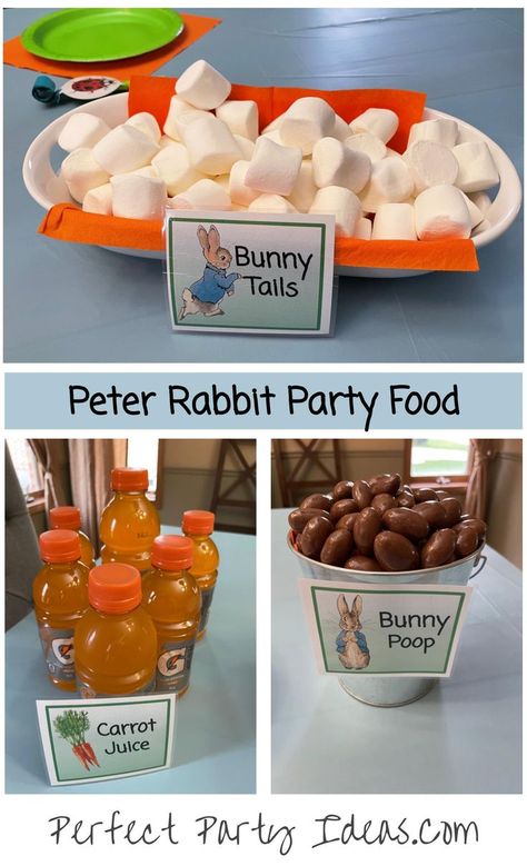 Peter Rabbit Party Food Rabbit Party Food, Peter Rabbit Party Food, Bunny Party Food, Rabbit Party Ideas, Peter Rabbit Theme Party, Peter Rabbit Birthday Party, Rabbit Birthday Party, Peter Rabbit Cake, Peter Rabbit Birthday