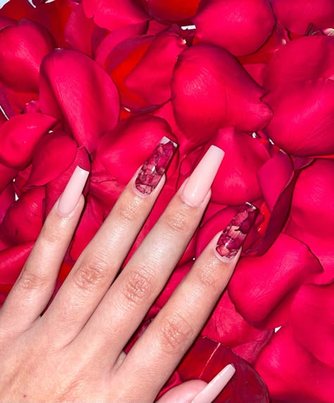 Nails With Rose Petals, Rose Petal Nails, Valentines Nails Acrylic, Nails Acrylic Long, Tv Wall Decor Ideas, Nails Valentines, Long Nail Designs, Valentine Nails, Pretty Nail Art Designs