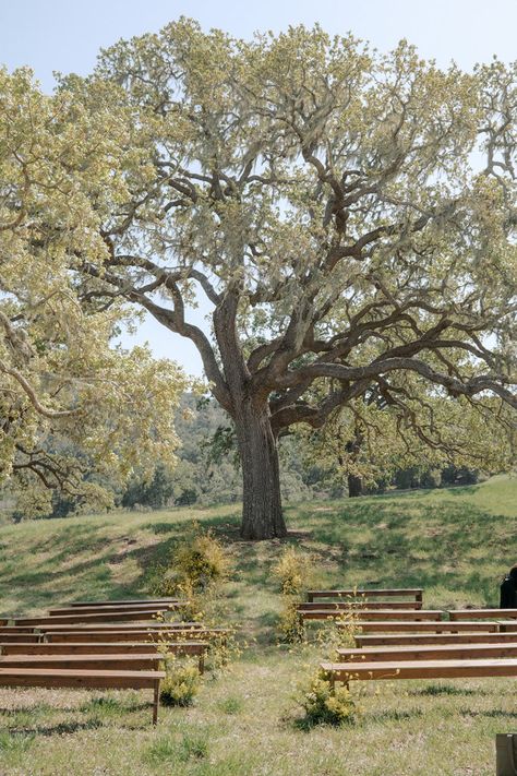 Field Wedding Ceremony, Open Field Wedding, Small Outdoor Wedding, California Outdoor, Small Weddings Ceremony, Field Wedding, Dream Wedding Venues, Ceremony Seating, Wedding Mood Board