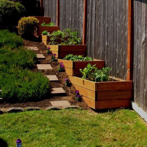 Making Raised Garden Beds, Sloped Backyard Landscaping, Landscaping A Slope, Sloped Yard, Sloped Backyard, Tiered Garden, Sloped Garden, Landscape Designs, Diy Landscaping