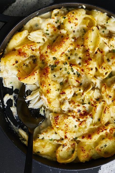 This crab macaroni gratin recipe is the ultimate pasta recipe meets seafood recipe.#seafoodrecipes #crabrecipes #gratinrecipes #macaronigratin #pastarecipes #bakedpasta Macaroni Gratin, Great Pasta Recipes, Baking Dish Set, Sweet Potato Gnocchi, Best Pasta Recipes, Crab Recipes, Pasta Bake, Crab Cakes, How To Cook Pasta