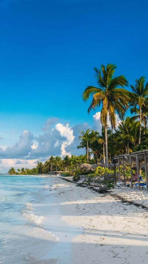 Cuba Wallpaper, Cuba Vacation Aesthetic, Havana Cuba Aesthetic, Cuba Aesthetic, Cuba Beach Aesthetic, Cuba Beach, Cuba Aesthetic Beach, Havana Beach, Cuba Island