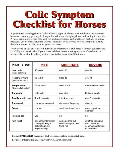 Is your horse showing signs of colic? Use Veterinarian Barb Crabbe's colic checklist to track your horse's symptoms during the initial stages of colic, or until your vet arrives. Equine Vet, Horse Showing, Equine Care, Horse Information, Healthy Horses, Horse Care Tips, Horse Facts, Horse Info, Horse Anatomy