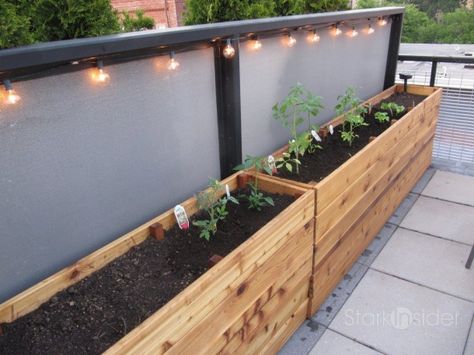 Narrow Planter Box Vegetable Planter Boxes, Diy Wooden Planters, Planter Box Plans, Vegetable Planters, Diy Planter Box, Wooden Planter Boxes, Wooden Planter, Plants Growing, Wood Planter Box