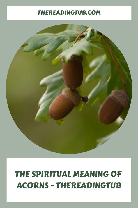 The spiritual symbolism of the acorn has captivated the hearts and minds of people across various cultures and time periods. As a small yet mighty seed that Acorn Meaning, Aries And Aquarius, Mighty Oaks, Time Periods, Libra And Pisces, Pisces And Sagittarius, Symbols And Meanings, Dream Meanings, Spiritual Meaning