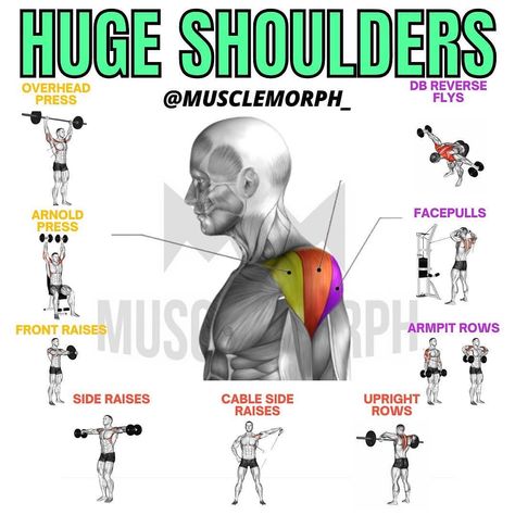 Posterior Shoulder Workout, Front Shoulder Exercises, Front Delt Workout, Front Shoulder Workout, Shoulder Excersizes, 3d Shoulder Workout, Rear Shoulder Workout, Wide Shoulders Workout, Round Shoulders