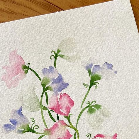 Carrie on Instagram: "My second go at Sweet Peas. Avoided these for a long time because I find them to be one of the most intimidating flowers. But they’re actually pretty sweet to paint 🥰. #sweetpeas #pinksweetpeas #sweetpeabouquet #watercolorart #watercolorflowers #watercolorflorals #loosewatercolor #looseflorals #loosewatercolorflowers #wetinwet #wetinwettechnique #nurseryart #babyshowergift #purplesweetpeas" Watercolor Sweet Peas, Mom Calendar, Sweet Pea Bouquet, Loose Watercolor Flowers, Sweet Pea Flowers, Watercolor Flowers Tutorial, Flowers Tutorial, Loose Watercolor, Water Colours