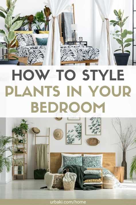 Bedroom Plants Decor Ideas Cozy, Live Plants In Bedroom, Bedroom Houseplants Decor, Real Plants In Bedroom, Plant Placement In Bedroom, Plants In Bedroom Decor, Master Bedrooms Decor Plants, Plants In Master Room, Plants On Shelves Bedroom