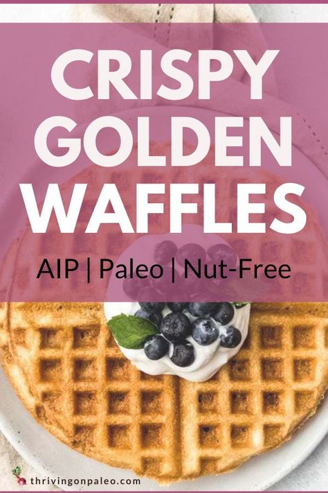 Aip Waffle Recipe, Aip Waffles, Freezer Meal Plan, Chocolate Syrup Recipes, Paleo Waffles, Aip Breakfast, Paleo Friendly Recipes, Freezer Meal Planning, Traditional Breakfast