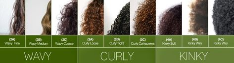 Curl Pattern Chart, Hair Type Chart, Curly Nikki, Type Classification, Curly Girl Method, Curl Pattern, Natural Hair Inspiration, Types Of Curls, Curly Girl