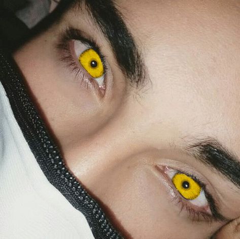 gold eyes // yellow eyes // werewolf // beta // teen wolf // * i really didn't want to do this one but it kept coming up so i decided it was a message Eye Aesthetic, Aesthetic Tumblr, Eyelash Curler, Blue Eyes, Black Hair, Tumblr, Yellow, Makeup, Hair