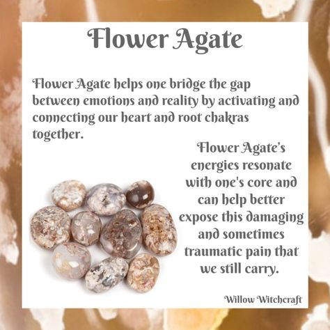 Flower Agate Properties, Indian Agate Crystal Meaning, Flower Agate Crystal Meaning, Rock Meanings, Flower Agate Meaning, Crystal 101, Wearing Crystals, Crystal Alter, Crystal Magick