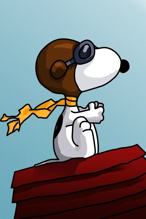 Red Baron Snoopy, Snoopy Cartoon, Snoopy Funny, Ios Wallpaper, Snoopy Images, Peanuts Cartoon, Flying Ace, Snoopy Wallpaper, Snoopy Quotes