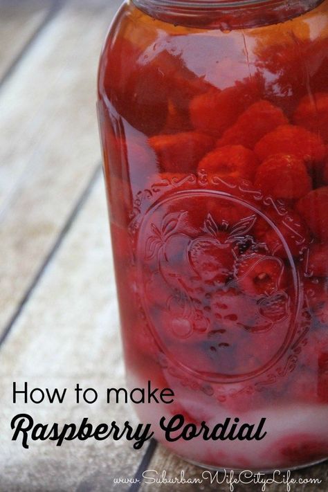 Diy Kitchen Gifts, Alcohol Treats, Homemade Liqueur, Homemade Wine Recipes, Raspberry Cordial, Cordial Recipe, Liqueur Recipes, Homemade Alcohol, Homemade Liquor