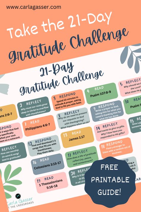 Do you need to improve your attitude of gratitude? One simple way to change your perspective and thinking is to intentionally focus on being grateful. Gratitude is not only an attitude but a way of life, so join me in taking this 21-day Gratitude Challenge that invites you to give thanks through reflecting on God’s Words and taking purposeful action. One Thousand Gifts, S Words, Soul Care, Being Grateful, Gratitude Challenge, Study Resources, Change Your Perspective, Thankful Heart, Bible Versions