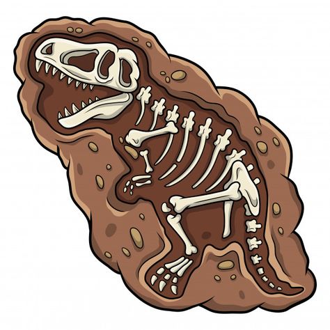 Dinosaur Fossil Art, Fossil Illustration, T Rex Fossil, T Rex Illustration, Fossils Activities, Fossil Dinosaur, Babyshower Party, Dinosaur Fossil, Dinosaur Images