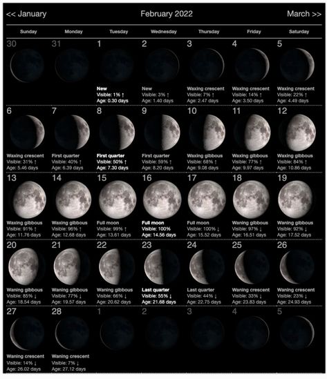 New Moon and Full Moon during February 2022 – Ellie's Horoscopes and Advice New Moon Meaning, Full Moon Meaning, New Moon And Full Moon, Full Moon Calendar, Moon Phases Calendar, Calendar August, Moon Date, Moon Meaning, Moon Phase Calendar