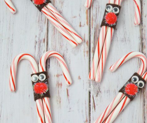 Easy DIY Christmas Party Treat Idea - Reindeer Candy Canes Candy Canes Craft, Reindeer Candy Canes, Holiday Party Crafts, Peppermint Candy Ornaments, Christmas Party Treats, Reindeer Candy, Candy Cane Reindeer, School Christmas Party, Candy Cane Crafts