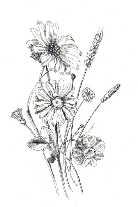 Flower Nature Drawing, Messy Flower Drawing, Tall Flower Drawing, Vintage Flower Sketch, Limonium Flower Drawing, Wild Flower Sketch, Pen Drawing Flower, Wild Flowers Drawing Sketch, Wildflower Drawing Tattoo