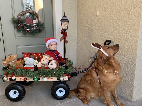 Toddler Christmas Card Photo Ideas, Christmas Toddler Photoshoot Ideas, Christmas Card Ideas Toddler, Christmas Picture Ideas For Toddlers, Toddler Christmas Card Photo, Baby Christmas Cards Photo, Toddler Xmas Pictures, Christmas Card Photos With Baby, Toddler Boy Christmas Photoshoot