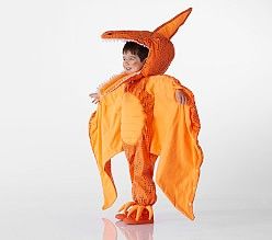 Toddler Light Up Pterodactyl Costume Pterodactyl Costume, Toddler Dinosaur Costume, Pottery Barn Halloween, Dino Costume, Dinosaur Halloween Costume, Dinosaur Halloween, Costumes Kids, Dinosaur Costume, Toddler Halloween Costumes