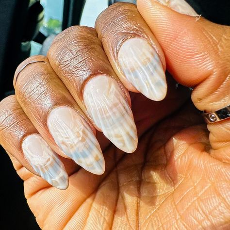 T H E M E: give ‘em SHELL❕🐚 My most favorite-est look as of 2024. Do we need a tutorial? Even for those that are not DIY ladies but love a good visual to a “how did you do that!” moment? #vacationnails #shellnails #diynailart Vacation Nails, Beauty Lifestyle, Most Favorite, Nail Art Diy, How To Do Nails, Love A, We Need, Shells, Lifestyle