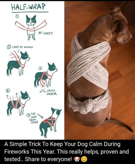 Meds For Dogs, Dog Remedies, Dog Wrap, Dog Ideas, Calm Dogs, Dog Hacks, Dog Care Tips, Pet Hacks, Dog Behavior