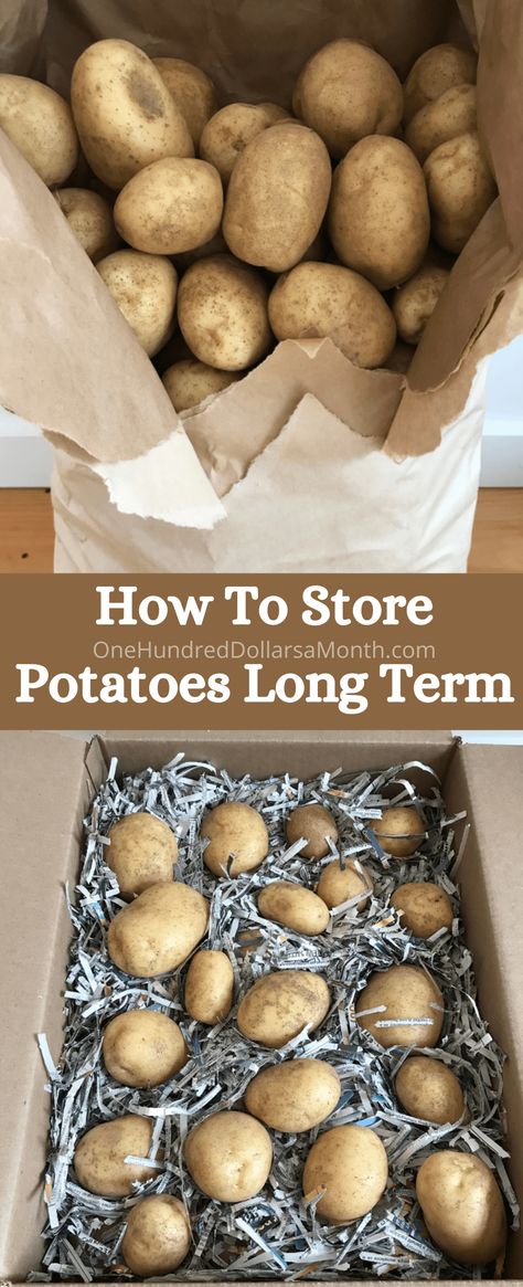 Storing Potatoes, Storing Food Long Term, Potato Storage, Storing Vegetables, How To Store Potatoes, Canning Food Preservation, Canned Food Storage, Long Term Food Storage, Fruit And Vegetable Storage