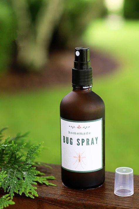 This 4 ingredient homemade bug spray uses natural ingredients. A quick and easy Mosquito spray that smells good! Natural Mosquito Spray, Homemade Mosquito Spray, Bug Repellent Spray, Best Mosquito Repellent, Amber Spray Bottle, Diy Bug Repellent, Mosquito Repellent Homemade, Diy Mosquito Repellent, Homemade Bug Spray