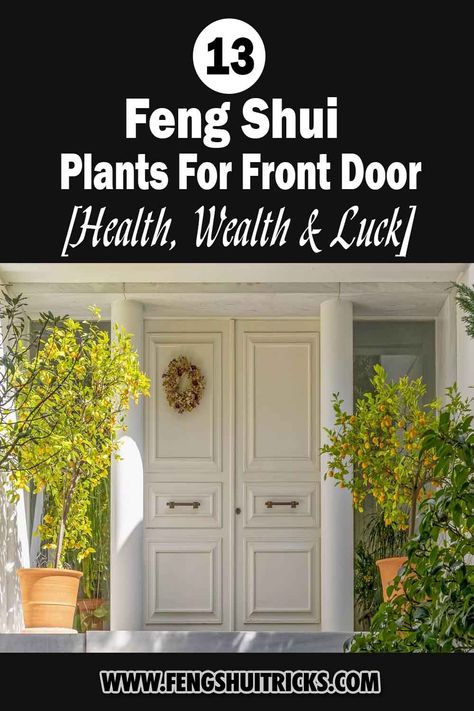 Did you know that there are plants that you can place at the front door for health, wealth, and luck? Adding plants to your front door is one of the aesthetic ways of naturally increasing the chances of positive energy coming in. In this post, we provide feng shui plants for front door that will bring health, wealth and luck. Plants Either Side Of Front Door, House Entrance Plants Entryway, Plants At Front Door, Front Door Feng Shui Entrance, Door Plants Entrance, Plants Outside Front Door, Plants By Front Door, Feng Shui Plants Front Doors, Plants For Front Door Entrance