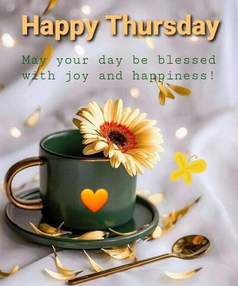 Blessed Thursday Quotes, Happiness Pictures, Thursday Good Morning, Happy Thursday Pictures, Blessed Thursday, Thursday Morning Quotes, Happy Thursday Morning, Friday Greetings, Good Morning Thursday Images