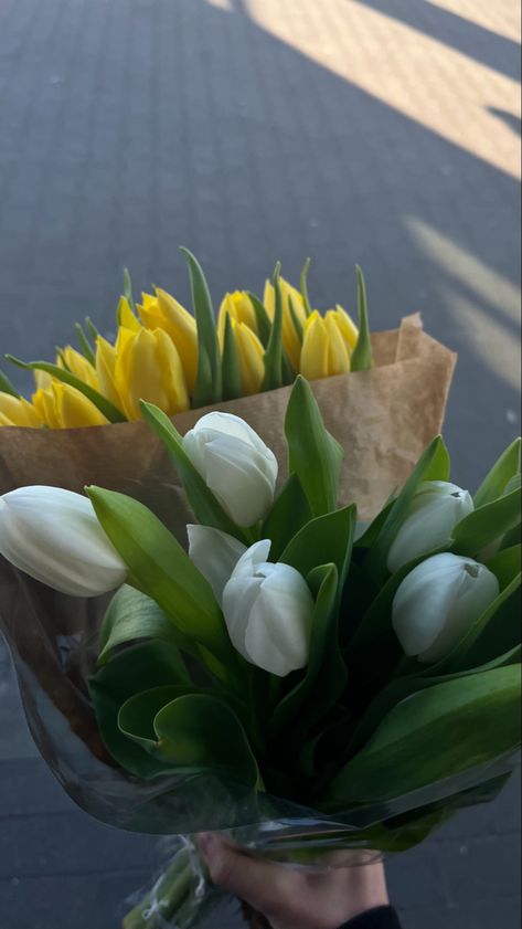 Flower,flowers,Tulips,white,yellow,yellow tulips, white tulips,easter Flowers Tulips, Yellow Tulips, White Tulips, Yellow White, Tulips, Easter, Yellow, Flowers, White