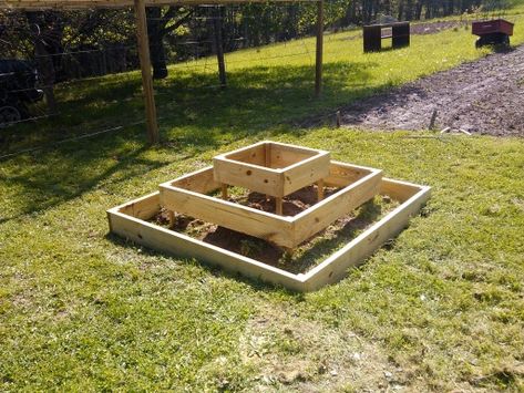 Strawberry Planter Pallet, Raised Strawberry Beds, Strawberry Planters Diy, Strawberry Bed, Raised Garden Beds Diy Vegetables, Strawberry Beds, Strawberry Planters, Garden Netting, Tiered Garden