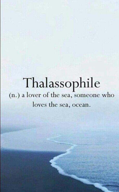 THALASSOPHILE (n.) a lover of the sea, someone who loves the sea ocean. The Sea Gives And The Sea Takes, Thallasophile Quotes, Quotes Deep Meaningful Ocean, Quotes On Ocean Waves, Feelings Are Like Waves, Beautiful Sea Quotes, To The Sea Tattoo Quotes, I Love The Ocean Quotes, Nautical Love Quotes