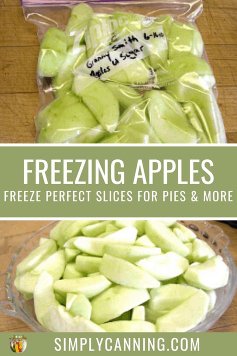 Freezing apples can be done in many ways. SimplyCanning.com shares tips and tricks for 3 different ways that you can preserve your apples in the freezer for easy use later. #SimplyCanning #FreezingApples #Apples Keep Apples From Turning Brown, How To Freeze Apples, Freezing Apple Pie, Freeze Apples, Preserving Apples, Freezing Fruit, Freezing Vegetables, Freezing Apples, Apple Pie Filling