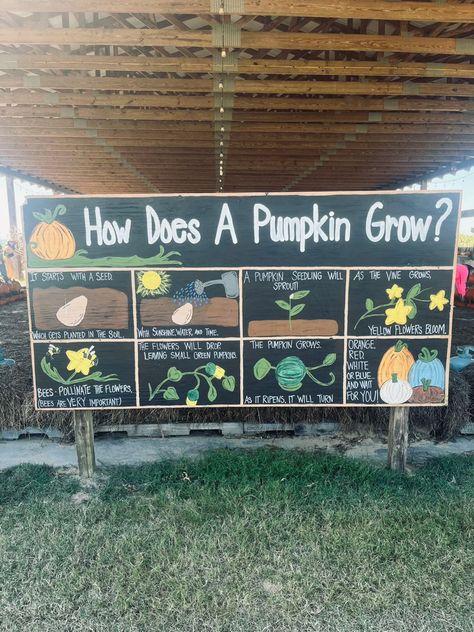 Pumpkin Farm Activities, How To Make A Pumpkin Patch, Pumpkin Patch Food Ideas, U Pick Farm, Pumpkin Farm Ideas, Small Pumpkin Patch, How To Plan A Fall Festival, Pumpkin Farm Stand, Harvest Festival Ideas