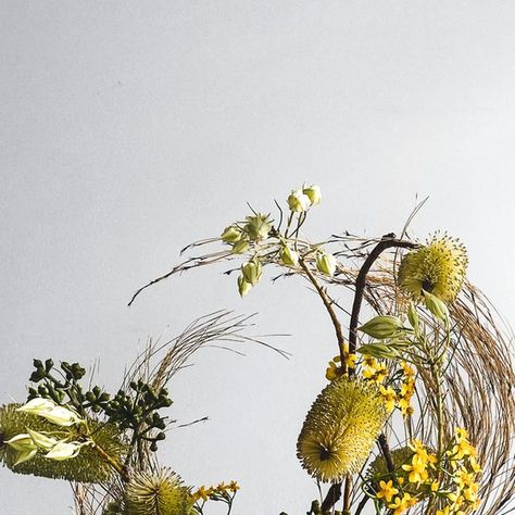 EBON Floral Design Studio on Instagram: "Australian native wildflower arrangements traditionally have a particular look about them - bushy, messy and, well… Australian. It takes some careful planning to steer these arrangements in a different direction, and create intentional, structural designs.⁣. Are you a fan of Aussie native wildflowers? . . . . . . . . . . . . #australianflora #nativewildflowers #australiannativeflowers #structuralfloraldesign #floraldesign #intentionaldesign #floralinstal Australian Dried Flower Arrangements, Australian Flower Arrangement, Wildflower Arrangements, Skateboarding Art, Australian Wildflowers, Sculpture Exhibition, Australian Flowers, Australian Native Flowers, Native Flowers