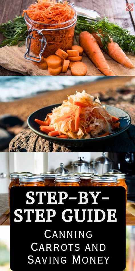 Want to preserve carrots like a pro? This guide offers step-by-step canning tips to help you can carrots easily and affordably. With detailed instructions on preparation, jars, and canning methods, you’ll have delicious carrots ready for any recipe. Save this pin for easy, cost-saving preservation! Preserve Carrots, Canning Methods, Can Carrots, Canning Carrots, Canned Carrots, Food Preserving, Low Acid Recipes, Canning Tips, Raw Carrots