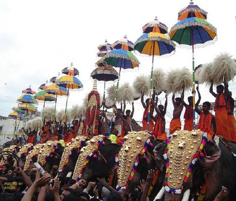 Trichur pooram? Tourist Attraction India: Culture And Nature of kerala | time of festival Thrissur Pooram, South India Tour, Onam Festival, Kovalam, Best Holiday Destinations, Festivals Of India, Kerala Tourism, India Tour, Kerala India