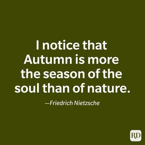 Fall Lovers, Fall Quotes, Most Beautiful Words, Caption For Yourself, Readers Digest, Autumn Quotes, Sum Up, Friedrich Nietzsche, Autumn Activities