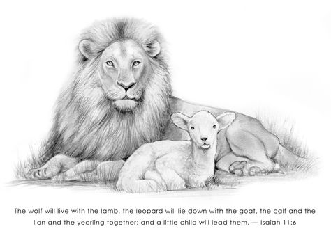 Lion And Lamb Bible Verse, Lion And Lamb Sketch, Lion And Lamb Drawing Simple, Lion And Lamb Tattoo For Women, Lion And The Lamb Drawing, Lion And The Lamb Painting, Lion And Lamb Tattoo, Lamb Drawing, Pencil Art Love